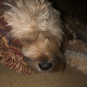 Meet your Posher, Robert